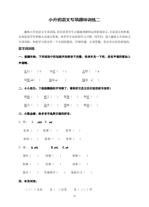 小升初语文专项训练(趣味训练二附参考答案)