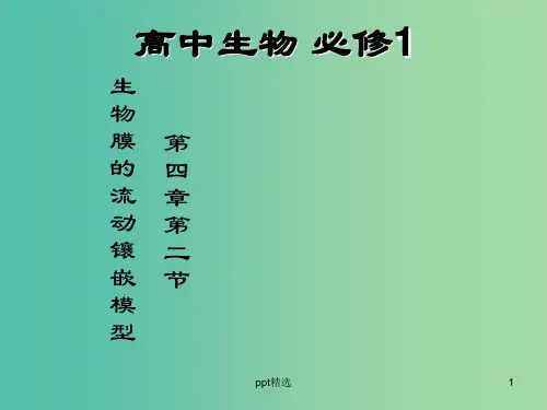 高中生物 第四章 第二节 生物膜的流动镶嵌模型课件 新人教版必修1