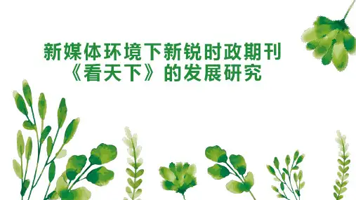 新媒体环境下新锐时政期刊《看天下》的发展研究