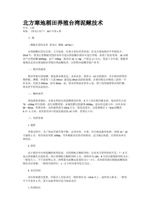 北方寒地稻田养殖台湾泥鳅技术