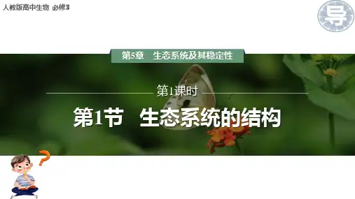 第70讲 生态系统的结构-高考生物一轮复习课件