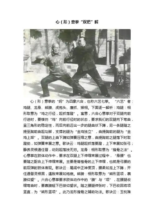 心（形）意拳“双把”解