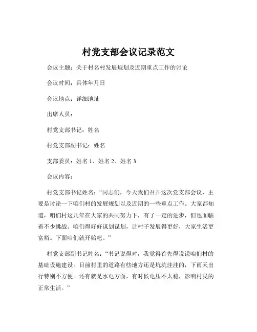村党支部会议记录范文
