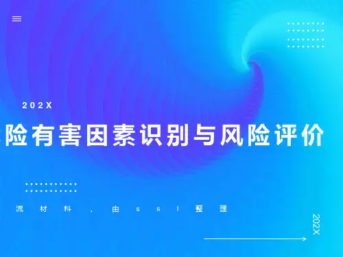 危险有害因素识别与风险评价