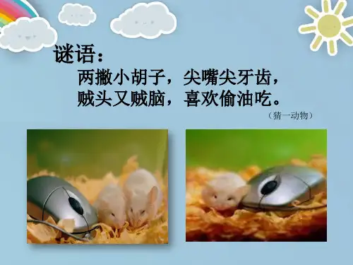 小学信息技术《灵巧小鼠标》课件