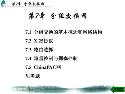 分组交换-PPT精选