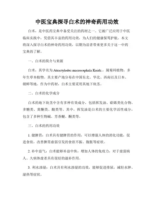 中医宝典探寻白术的神奇药用功效