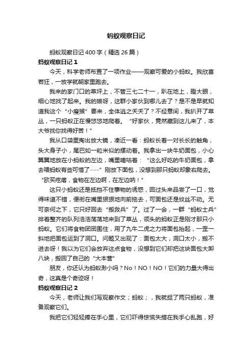 蚂蚁观察日记400字（精选26篇）