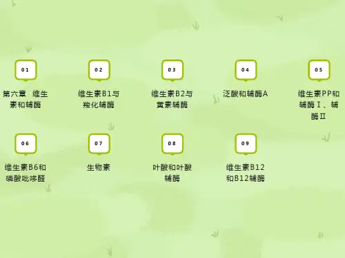 维生素和辅酶