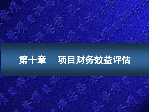 第十章项目财务效益评估《投资项目评估》PPT课件