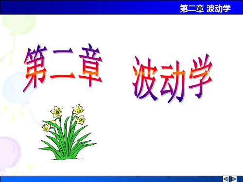 第二章 波动学
