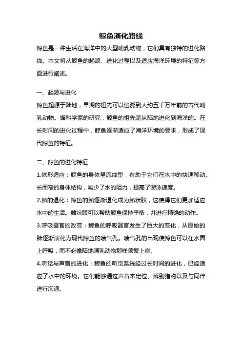 鲸鱼演化路线