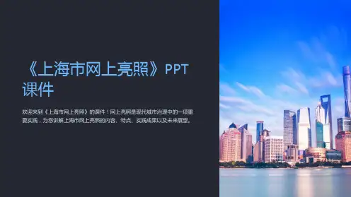 《上海市网上亮照》课件