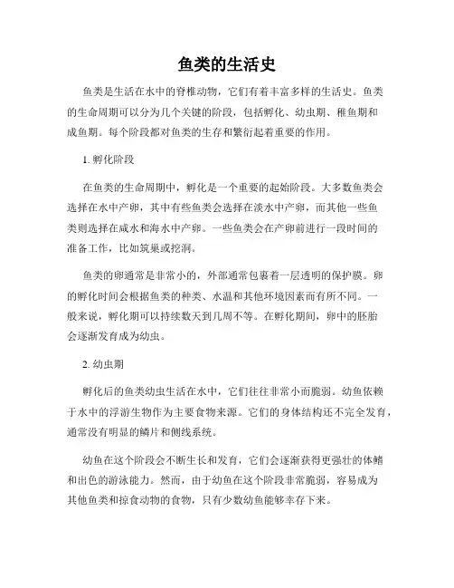 鱼类的生活史