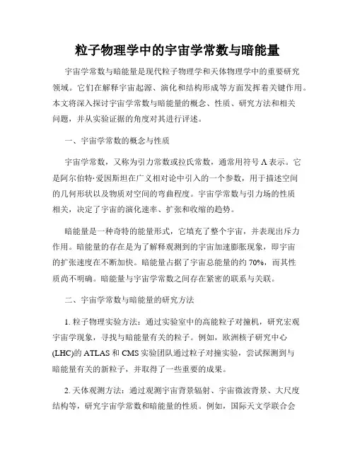 粒子物理学中的宇宙学常数与暗能量