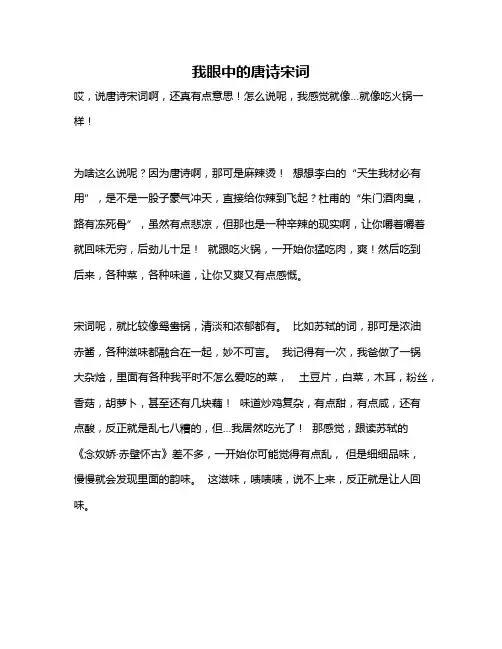 作文《我眼中的唐诗宋词》