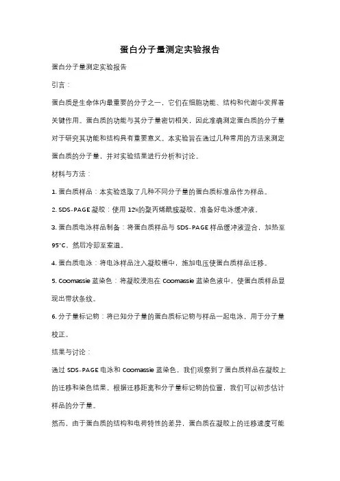 蛋白分子量测定实验报告