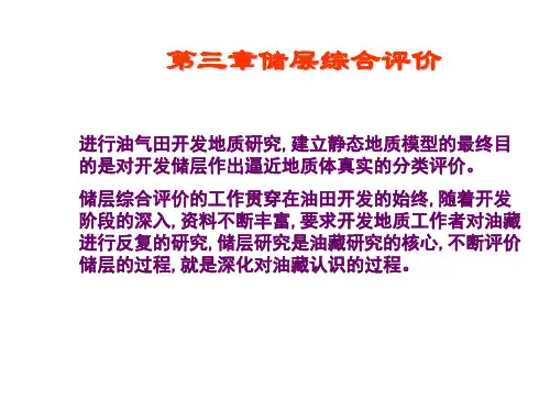 储层综合评价