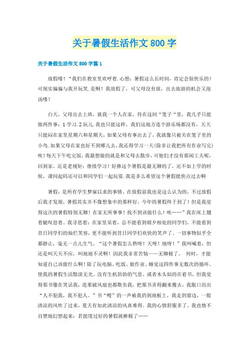 关于暑假生活作文800字