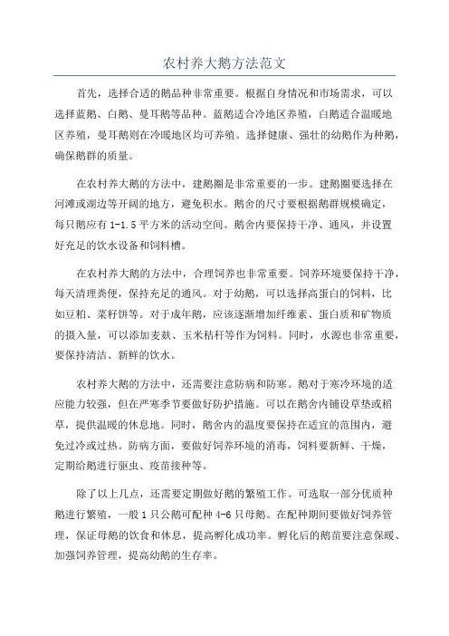 农村养大鹅方法范文