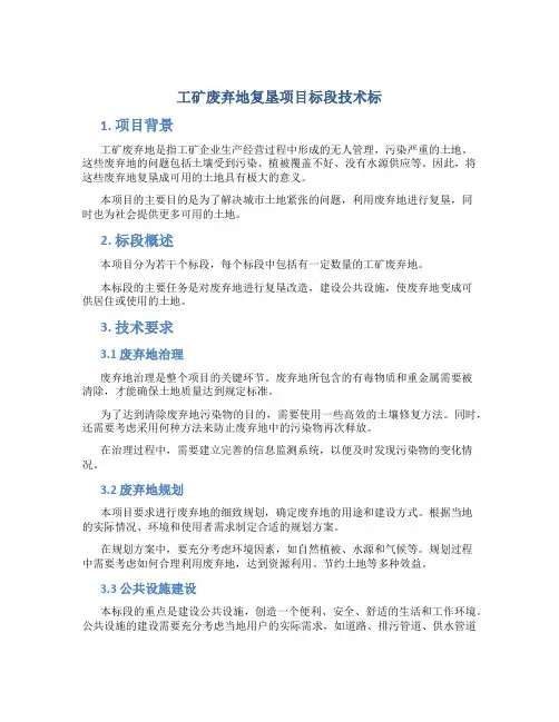 工矿废弃地复垦项目标段技术标