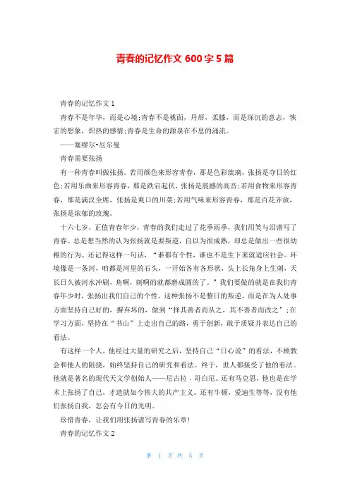 青春的记忆作文600字5篇