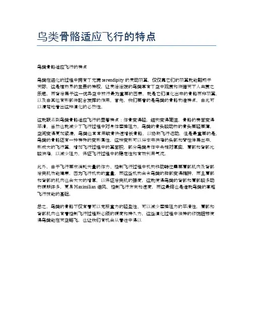 鸟类骨骼适应飞行的特点
