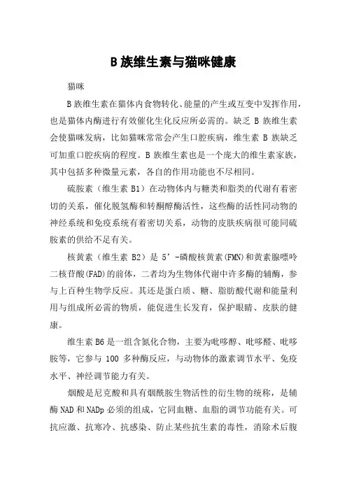 B族维生素与猫咪健康