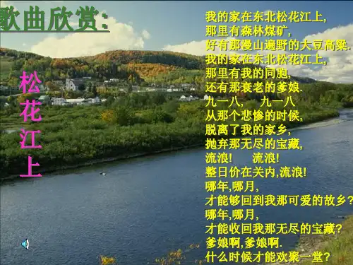 《我用残损的手掌》课件.ppt