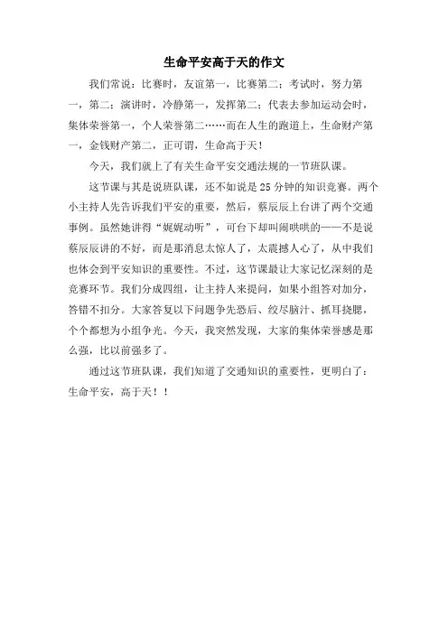 生命安全高于天的作文