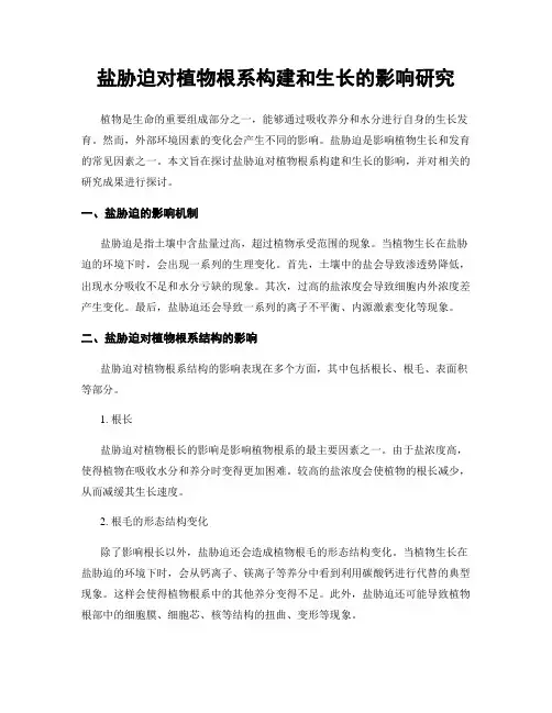 盐胁迫对植物根系构建和生长的影响研究