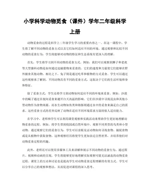 小学科学动物觅食(课件)学年二年级科学上册