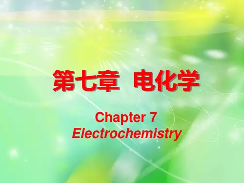 天大物理化学(第五版)第七章