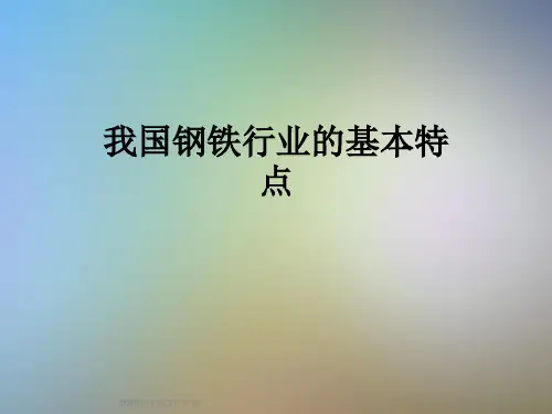 我国钢铁行业的基本特点