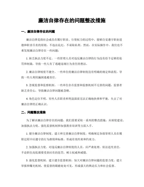 廉洁自律存在的问题整改措施