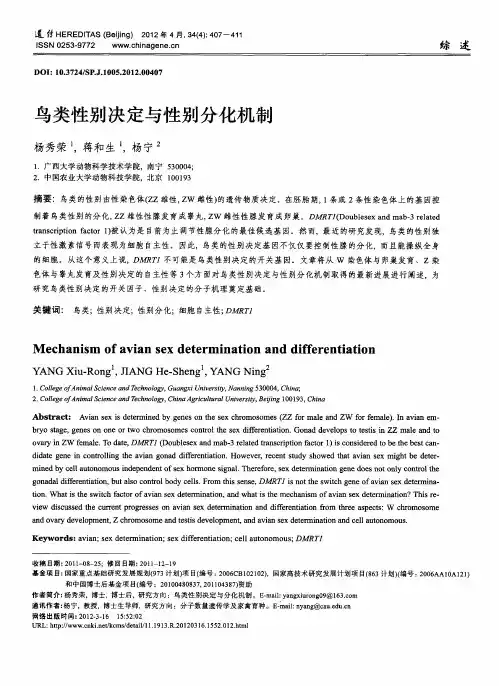 鸟类性别决定与性别分化机制