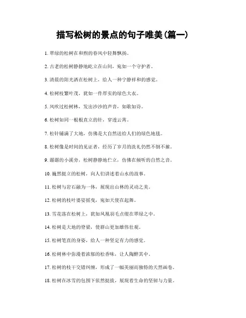 描写松树的景点的句子唯美(精选合集2篇)