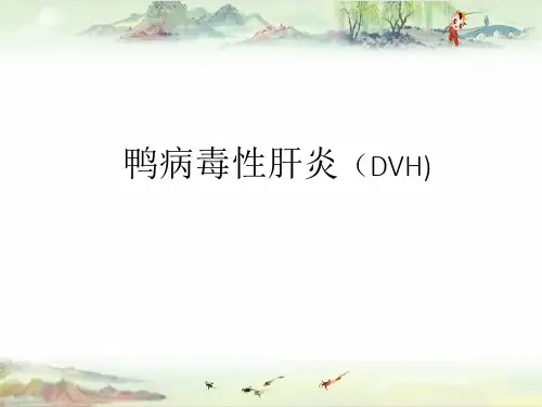 鸭病毒性肝炎(DVH)