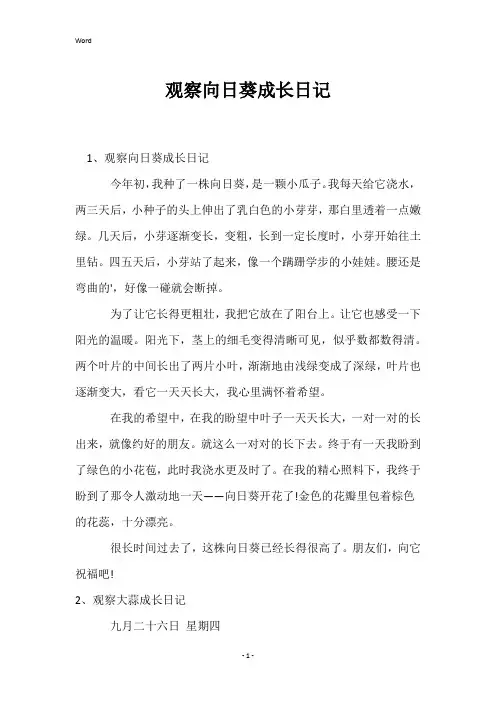 观察向日葵成长日记