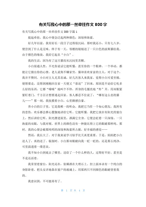 有关写我心中的那一丝牵挂作文800字