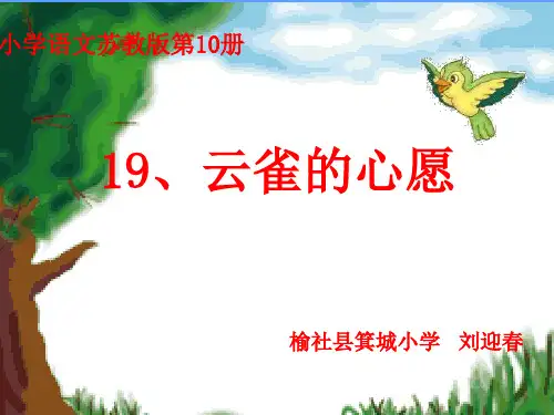 云雀的心愿PPT课件
