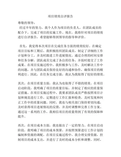 项目绩效自评报告