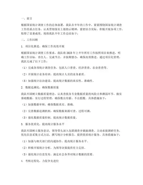 国调队半年工作总结报告