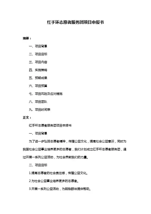 红手环志愿者服务团项目申报书