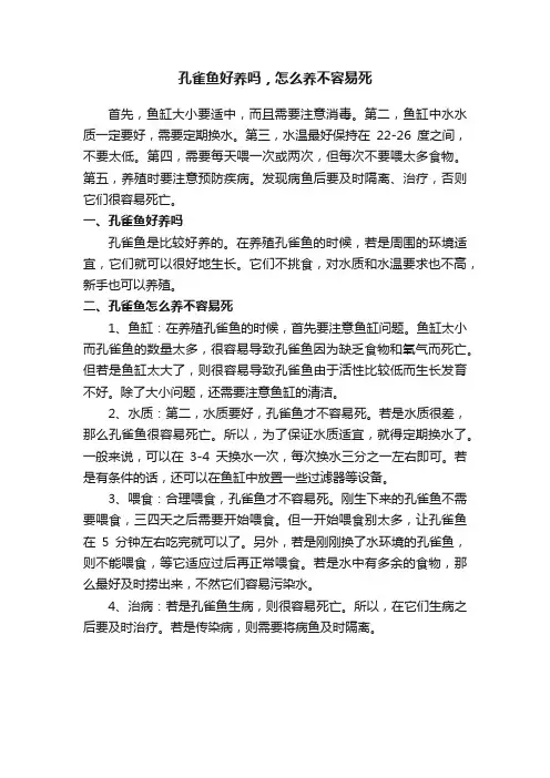 孔雀鱼好养吗，怎么养不容易死