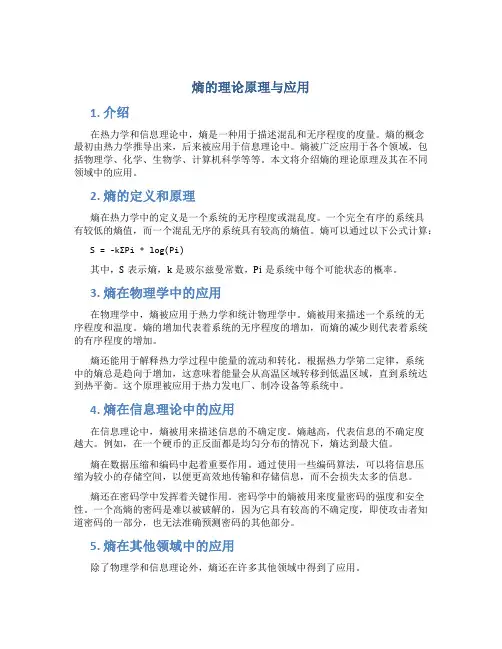 熵的理论原理与应用