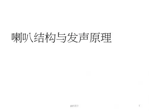 喇叭结构以及发声原理  ppt课件