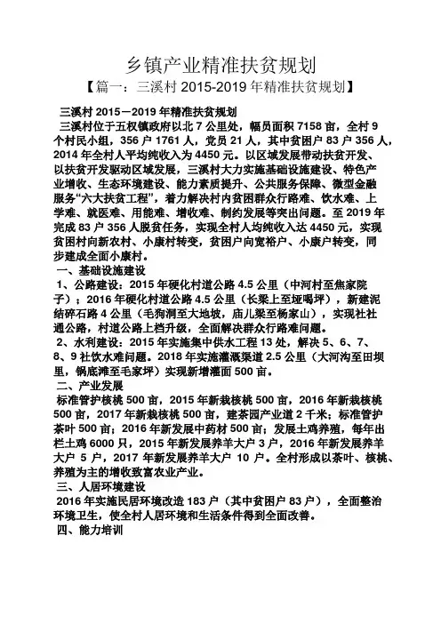乡镇产业精准扶贫规划