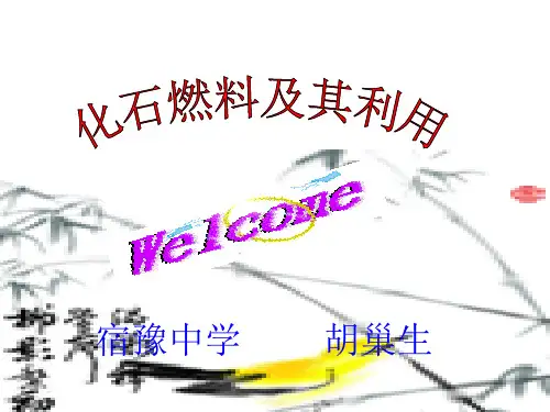 化石燃料及其利用胡巢生