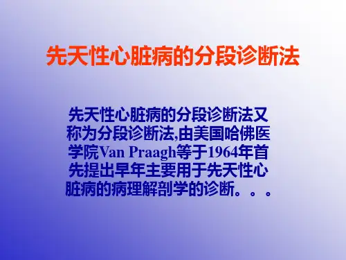 先心分段诊断法